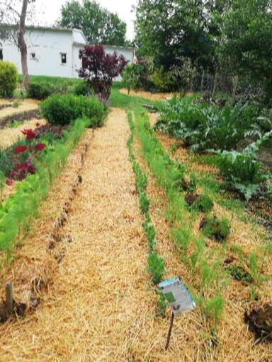 Villa Au Coeur Du Jardin La Boussac Esterno foto