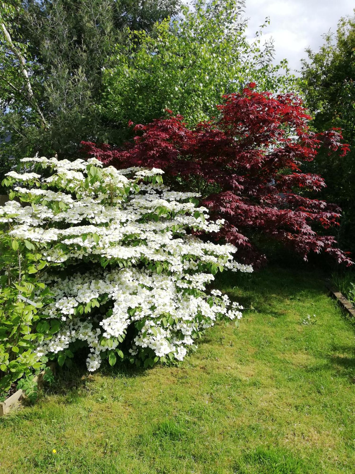 Villa Au Coeur Du Jardin La Boussac Esterno foto