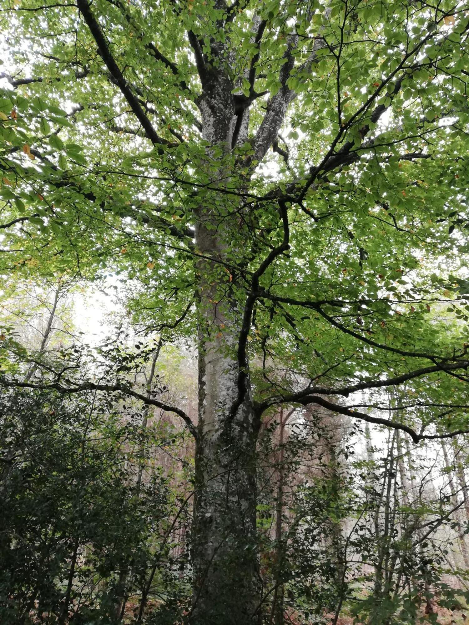 Villa Au Coeur Du Jardin La Boussac Esterno foto